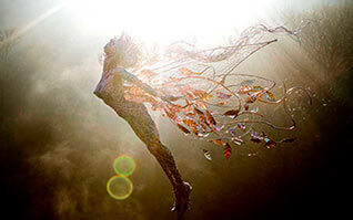 скульптура из проволоки