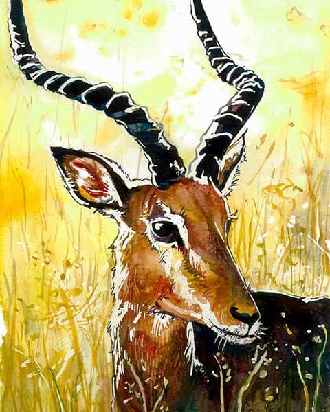 антилопа акварелью