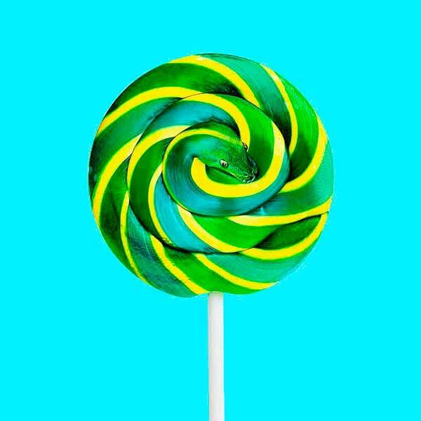 змея как леденец