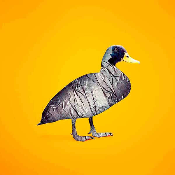 смешная утка