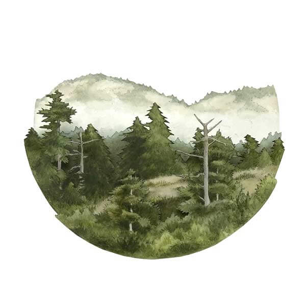 картина акварелью