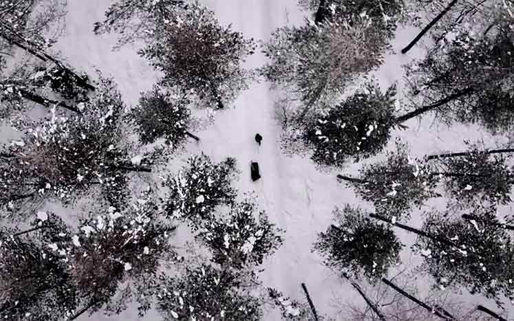 Йоханна Нордблад