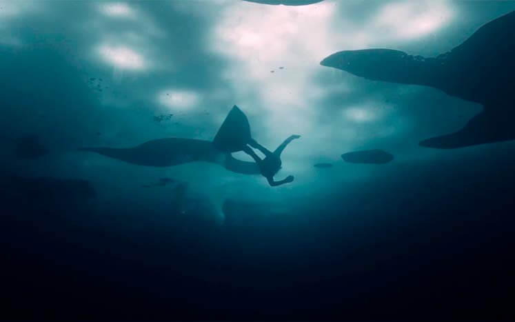 подводное плавание