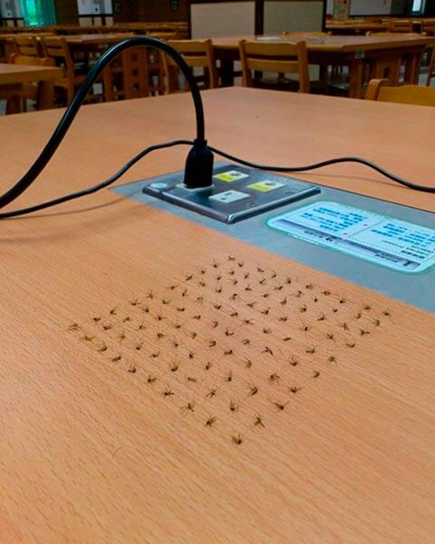 кладбище комаров