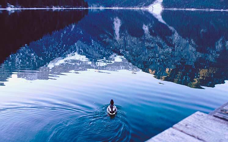 фото отражения