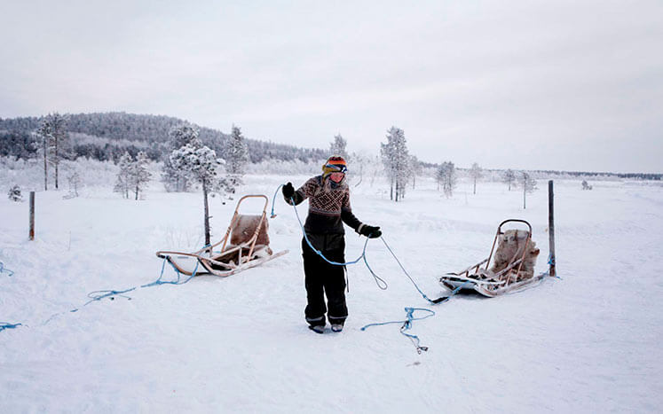 арктическая любовь