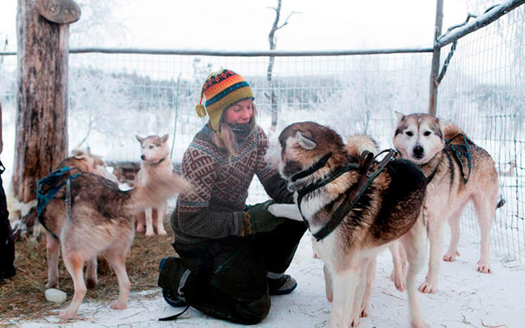 арктическая любовь