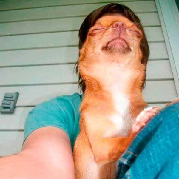 смешное совпадение