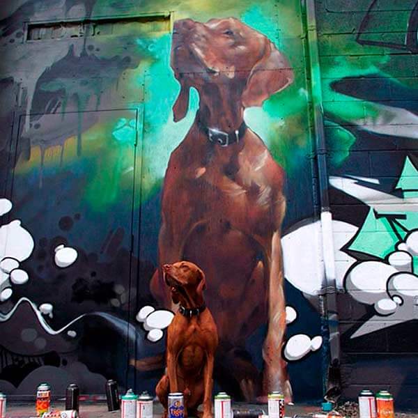 стрит арт собака