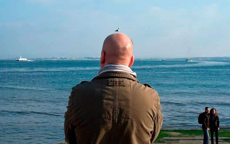 птица села на голову