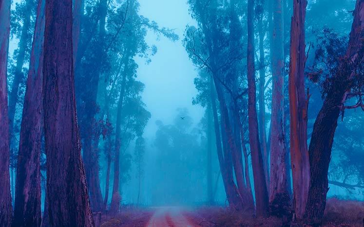 ночной пейзаж