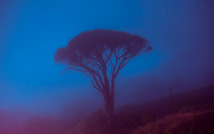 ночной пейзаж