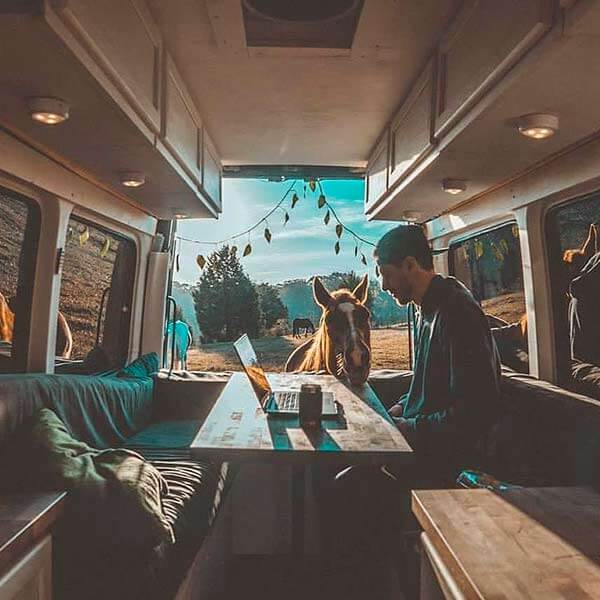 путешествия