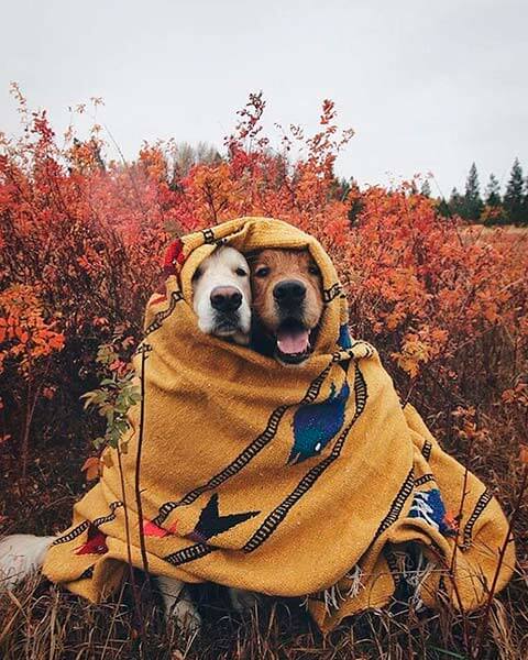 путешествия