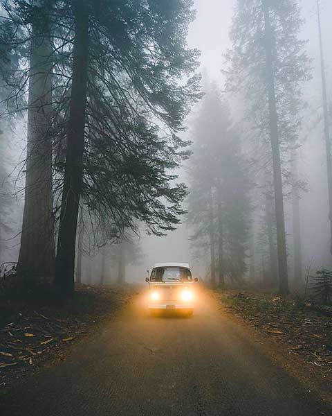 путешествия