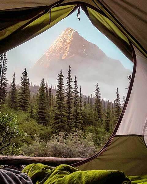 путешествия