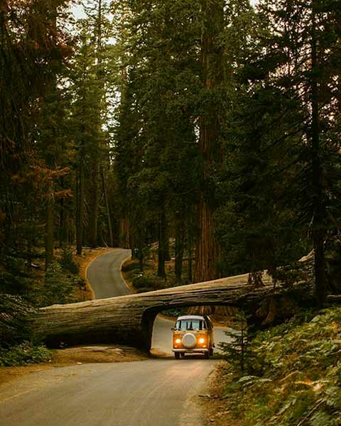 путешествия