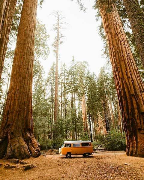 путешествия